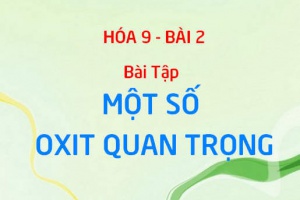 Bài tập về Canxi Oxit CaO, Lưu huỳnh Dioxit SO2: các Oxit quan trọng - Hóa 9 bài 2